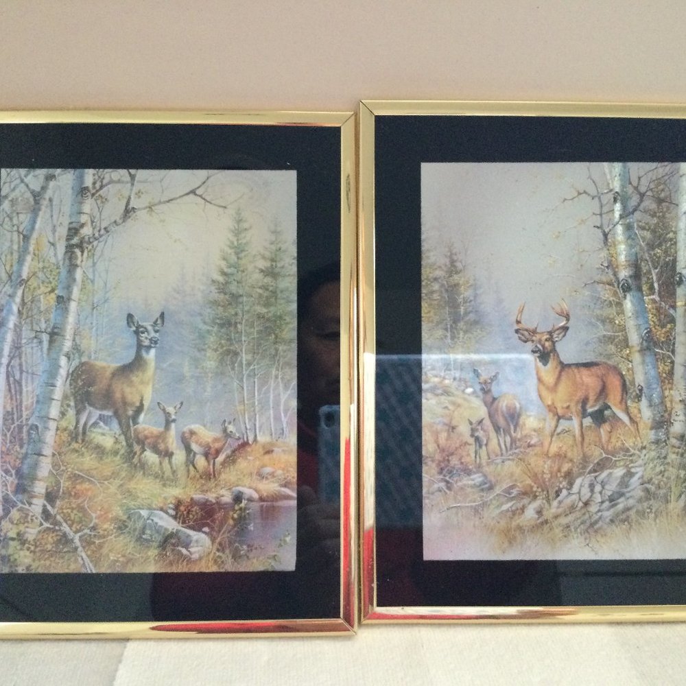 Two wall decoration metallic prints deer framed small